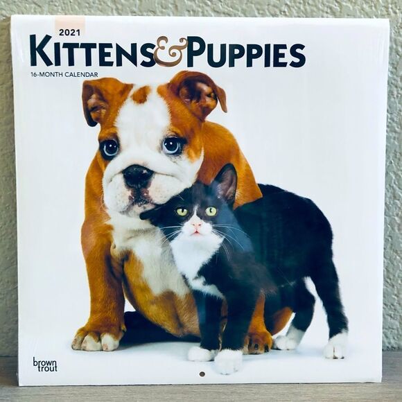 Kittens & Puppies Wall Art Cat Dog Decor Calendar - Picture 1 of 2